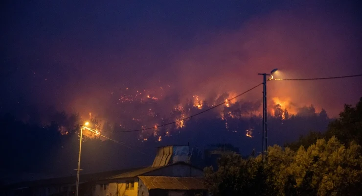 sakarya orman yangını