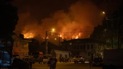 Sakarya’nın Geyve ilçesinde Bozören ile Kozan mahalleleri arasındaki ormanlık alanda