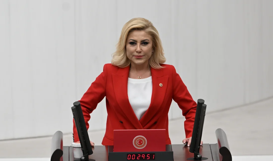 "Cunta başkanı" söylemi siyasi gerilimi tırmandırdı. İzmir Milletvekili Bursalı, CHP