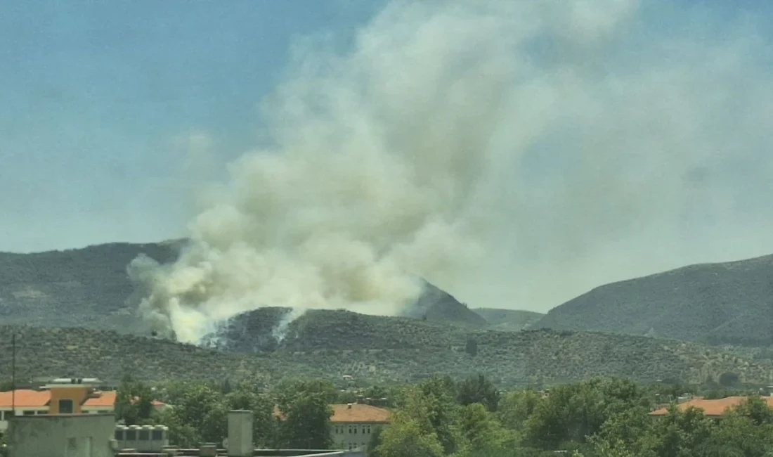 Çeşme ve Ödemiş'teki yangınlar sürerken bir yenisi daha eklendi. Selçuk'ta