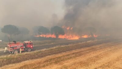 Bir kişinin bahçesinde yakılan mangaldan çıkan alevler, rüzgarın etkisiyle kontrolden