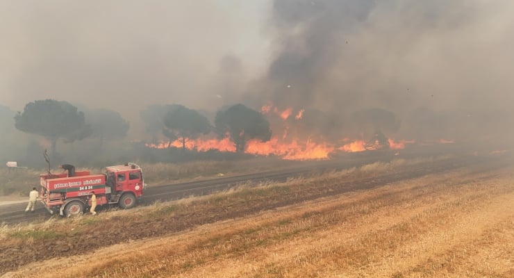 Bir kişinin bahçesinde yakılan mangaldan çıkan alevler, rüzgarın etkisiyle kontrolden