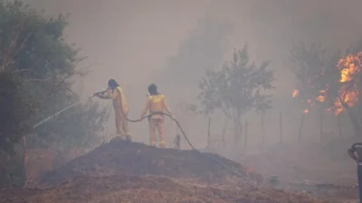 Tekirdağ’ın Şarköy ilçesinde tarım alanında başlayıp ormana sıçrayan yangına müdahale