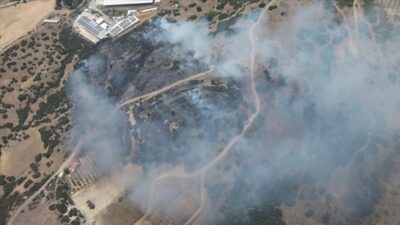 İzmir’in Menemen ilçesinde çıkan orman yangını korku dolu anlara neden