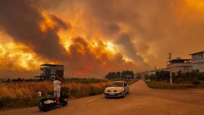 İzmir'in Seferihisar ve Menderes ilçelerinde devam eden orman yangınları nüfusun