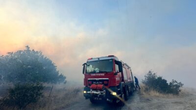 İzmir Dikili Çandarlı’da gece çıkan otluk yangını, rüzgarın etkisiyle hızla