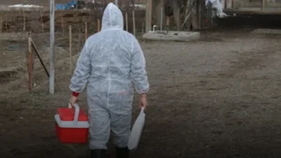 Marmara, Ege ve Akdeniz’de koleraya yol açabilecek Vibrio bakterisi görüldü.