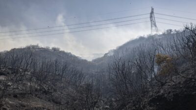 İzmir Aliağa’da çıkan orman yangını, İzmir Büyükşehir Belediyesi İtfaiye Dairesi