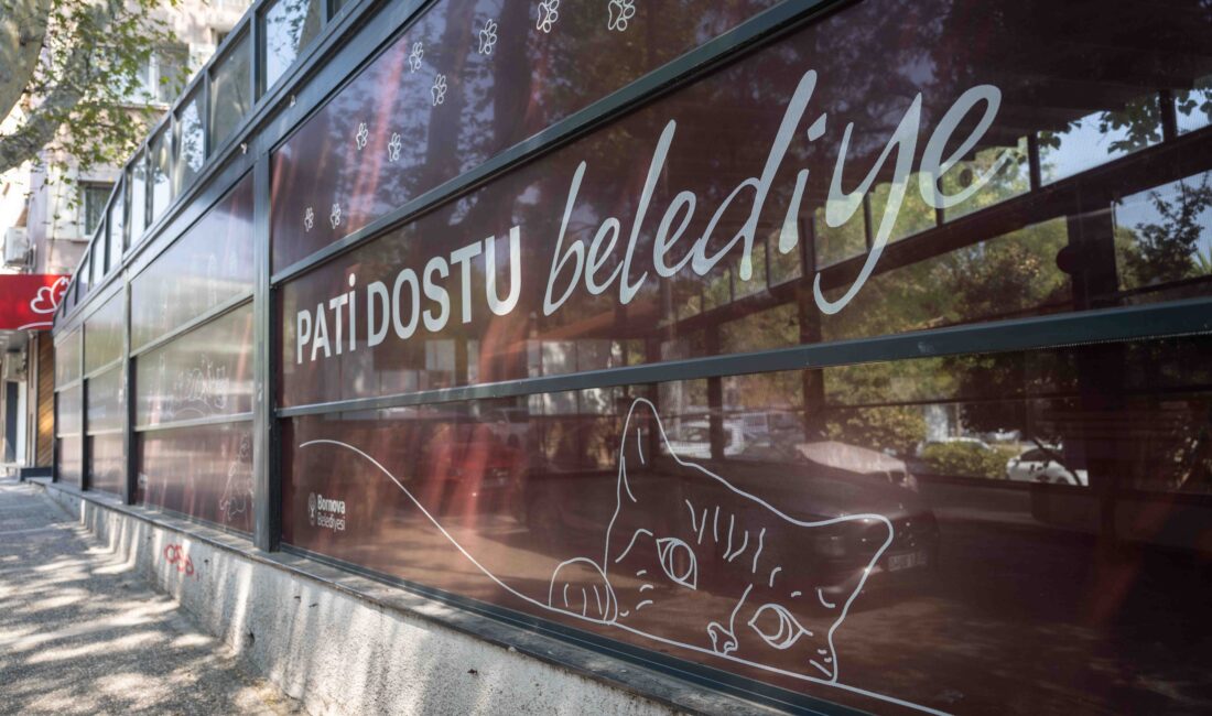 Bornova Belediyesi, kedi kliniğini genişletip modernleştirerek Eros’un adıyla açıyor.

