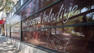 Bornova Belediyesi, kedi kliniğini genişletip modernleştirerek Eros’un adıyla açıyor.

