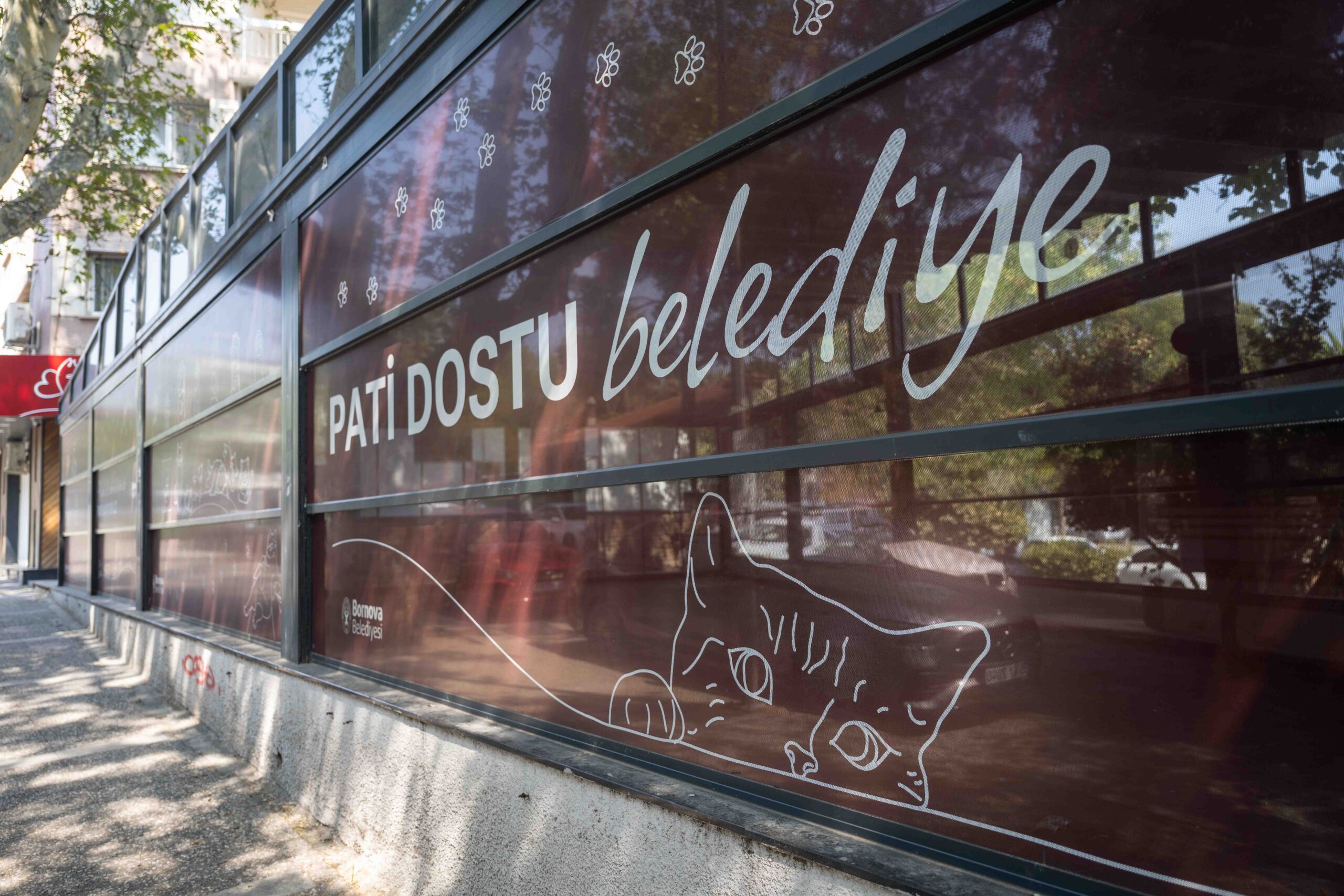Bornova Belediyesi, kedi kliniğini genişletip modernleştirerek Eros’un adıyla açıyor.

