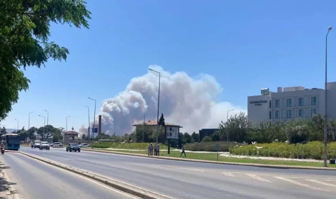 Ege bölgesinde orman yangınları bir kez daha yürekleri ağza getirdi.