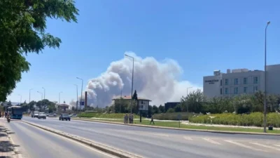 Ege bölgesinde orman yangınları bir kez daha yürekleri ağza getirdi.