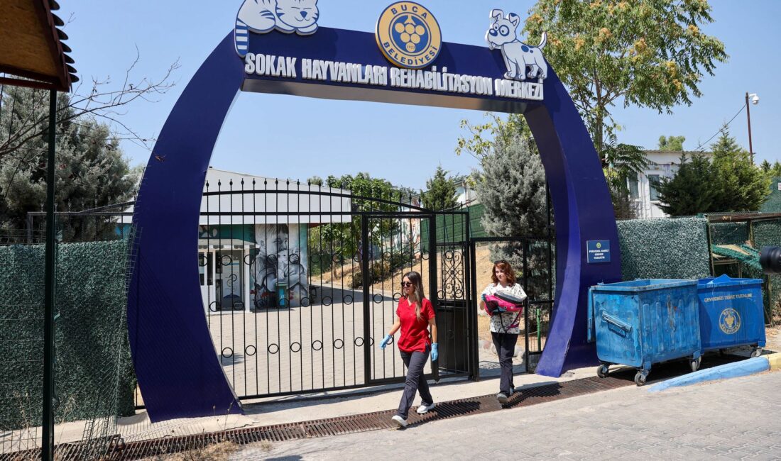 Buca Belediyesi Sokak Hayvanları Rehabilitasyon Merkezi, ücretsiz bakım, kısırlaştırma ve