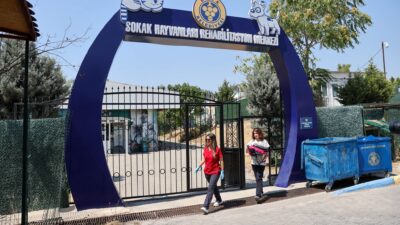 Buca Belediyesi Sokak Hayvanları Rehabilitasyon Merkezi, ücretsiz bakım, kısırlaştırma ve