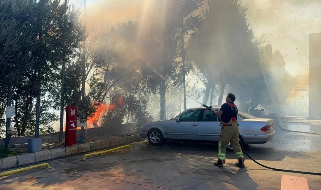 İzmir’in Kemalpaşa ilçesinde yol kenarındaki otluk ve ağaçlık alanda çıkan