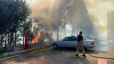 İzmir’in Kemalpaşa ilçesinde yol kenarındaki otluk ve ağaçlık alanda çıkan