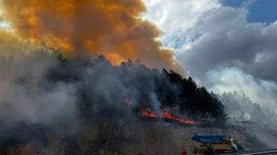 Bolu’nun Mengen ilçesinde ormanlık alanda çıkan yangın, rüzgarın etkisiyle kısa