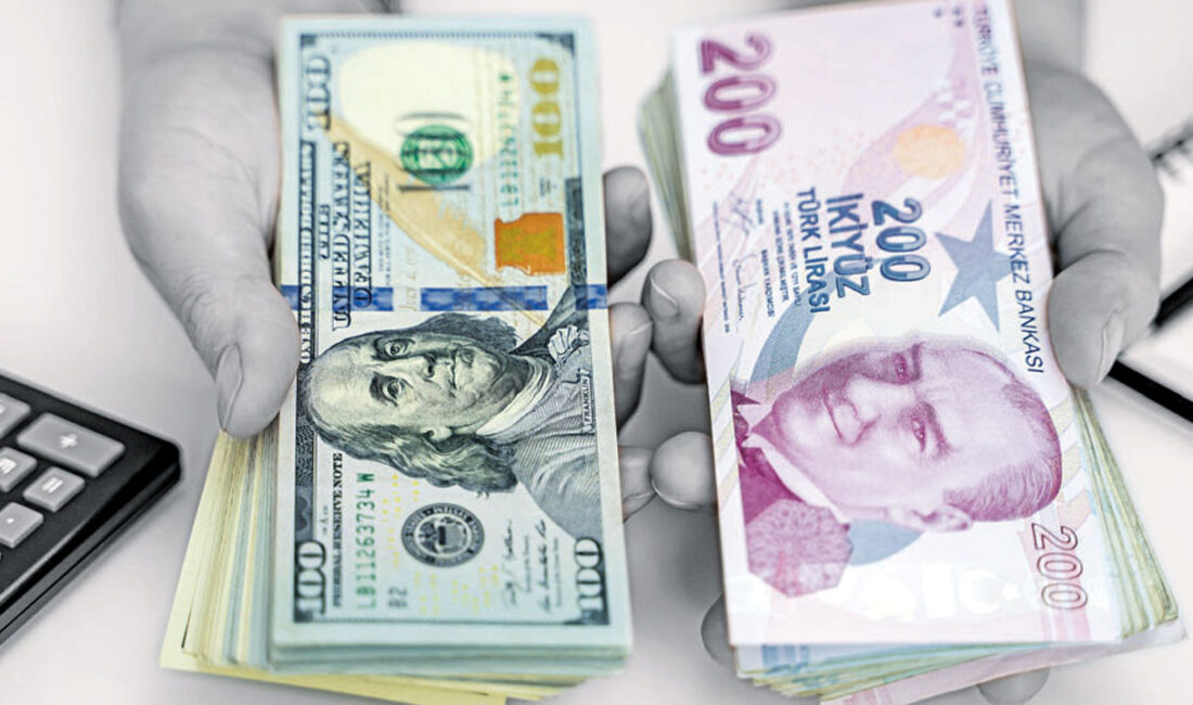 Bu hafta dolar yüzde 0,29, gram altın yüzde 0,16 değer