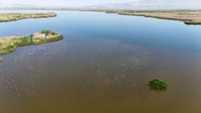 Türkiye’nin 12’nci büyük gölü olan Eber Gölü’nde tehlike çanları çalıyor.