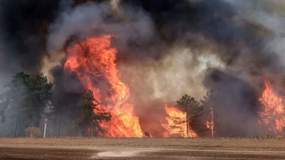 Bursa’nın Yenişehir ilçesi Kavaklı Mahallesi’nde orman yangını çıktı. Yangına 2