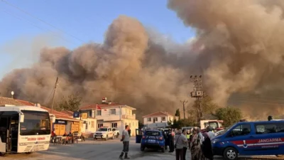 Tarım ve Orman Bakanı İbrahim Yumaklı, Çanakkale Gelibolu ve Adana