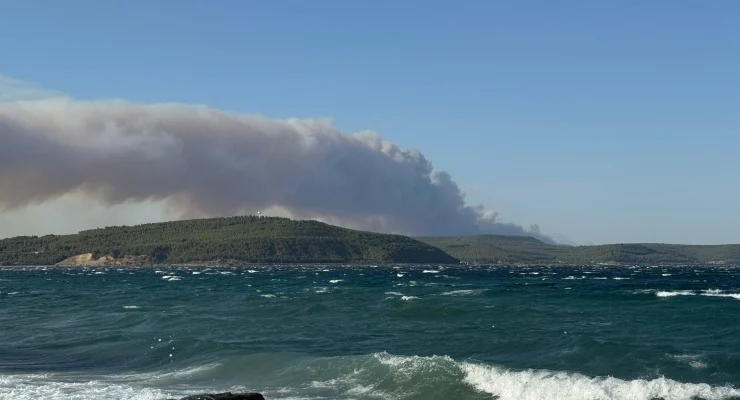 Çanakkale’nin Gelibolu ilçesinde çıkan orman yangını nedeniyle Tayfur, Yolağzı ve