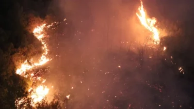 Hatay’da dün akşam çıkan yangın nedeniyle iki mahalledeki 540 kişi