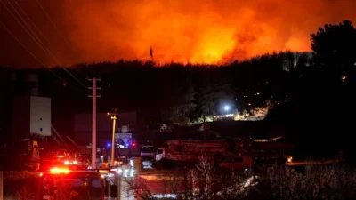 Türkiye orman yangınlarıyla mücadele ediyor. Dün gece İzmir'de alevlerle mücadele