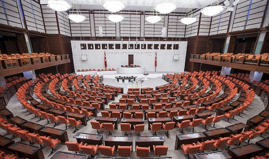 Türkiye Büyük Millet Meclisi (TBMM), bu hafta milyonlarca vatandaşı doğrudan