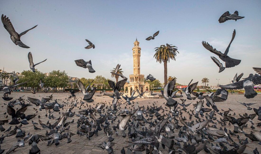 İzmir Büyükşehir Belediyesi’nin başlattığı “İzmir İklim İçin Yurttaş Meclisi” projesinde