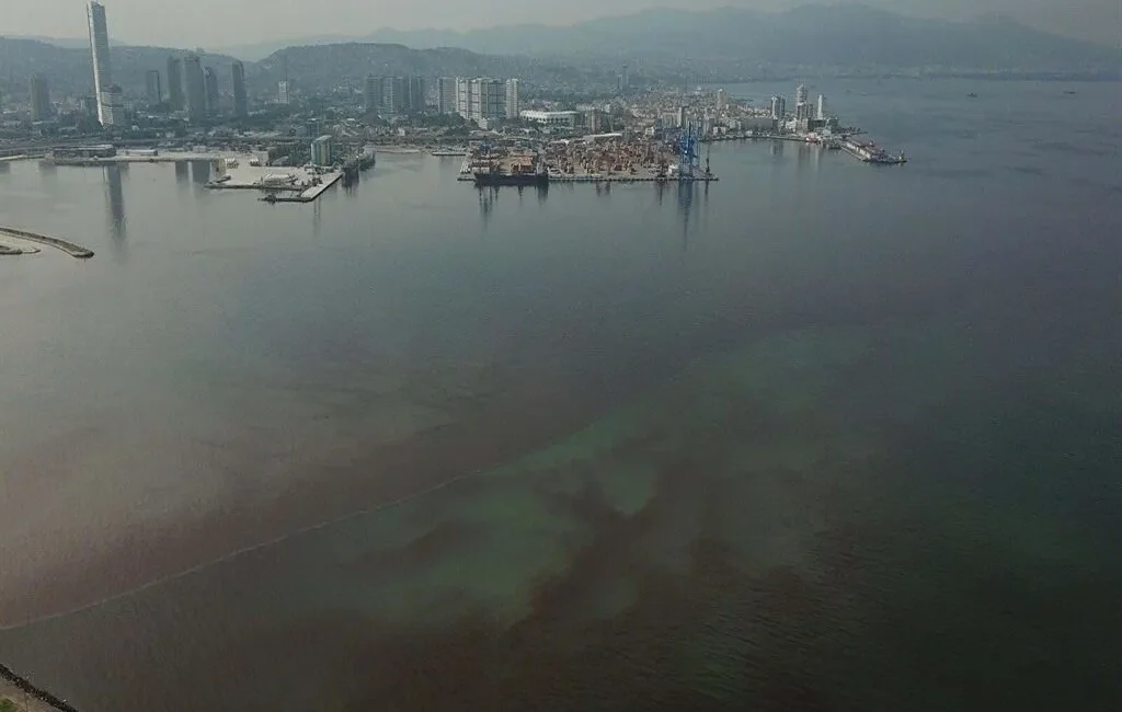 İzmir Körfezi’nde balık ölümleri yeniden ortaya çıktı. Uzmanlar, fabrika atıkları