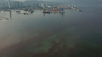İzmir Körfezi’nde balık ölümleri yeniden ortaya çıktı. Uzmanlar, fabrika atıkları