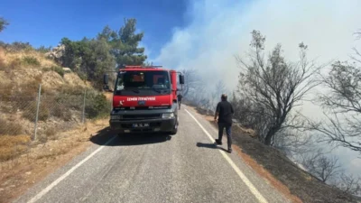 İzmir’in Seferihisar ilçesi Ulamış mevkiinde orman dışı alanda başlayan yangına