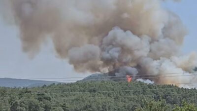 İzmir'in Menderes ilçesinde çıkan orman yangınına havadan ve karadan müdahale