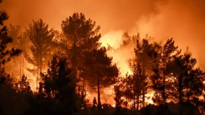 Mersin’in Silifke ilçesinde orman yangını çıktı. Balandız ve Kırtıl mahalleleri