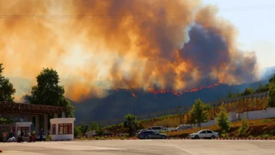 Suriye'nin Kesep bölgesinde ormanlık alanda çıkan yangın, Hatay’ın Yayladağı ilçesine