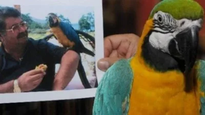 8. Cumhurbaşkanının meşhur papağanı Cabbar, 28 yıllık sahibinin yanından ikinci