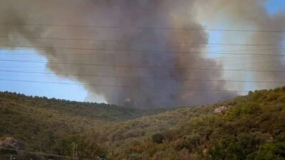Merkez Kemel Köyü’ndeki tarım arazisinde çıkan yangın, Orman Bölge Müdürlüğü