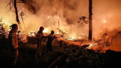 Çanakkale Gelibolu, Muğla Yatağan, İzmir Menderes ve Malatya Doğanyol'da eş