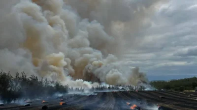 Cumhurbaşkanı Yardımcısı Cevdet Yılmaz, orman yangınlarında riskli bölgelerde demir yolu