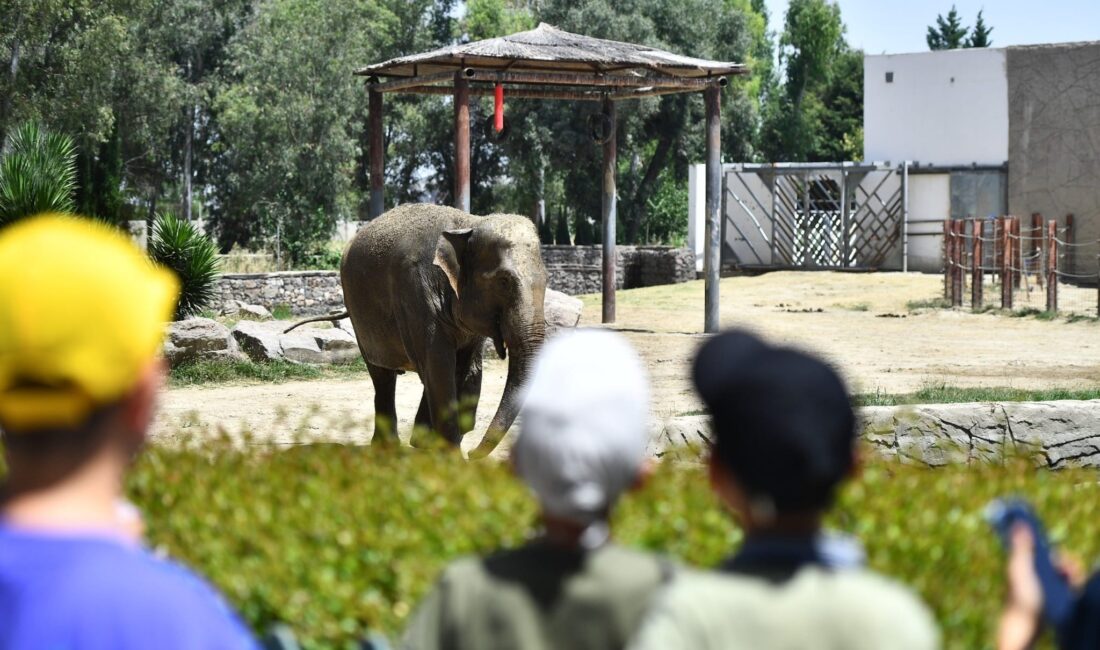 İzmir Doğal Yaşam Parkı'nda 8 Eylül Pazartesi gününden itibaren ziyaret