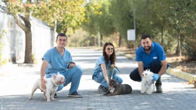 Tarım Müdürlüğü’nün müdahalesiyle kurtarılan 20 köpek, İzmir Büyükşehir Belediyesi’ne ait
