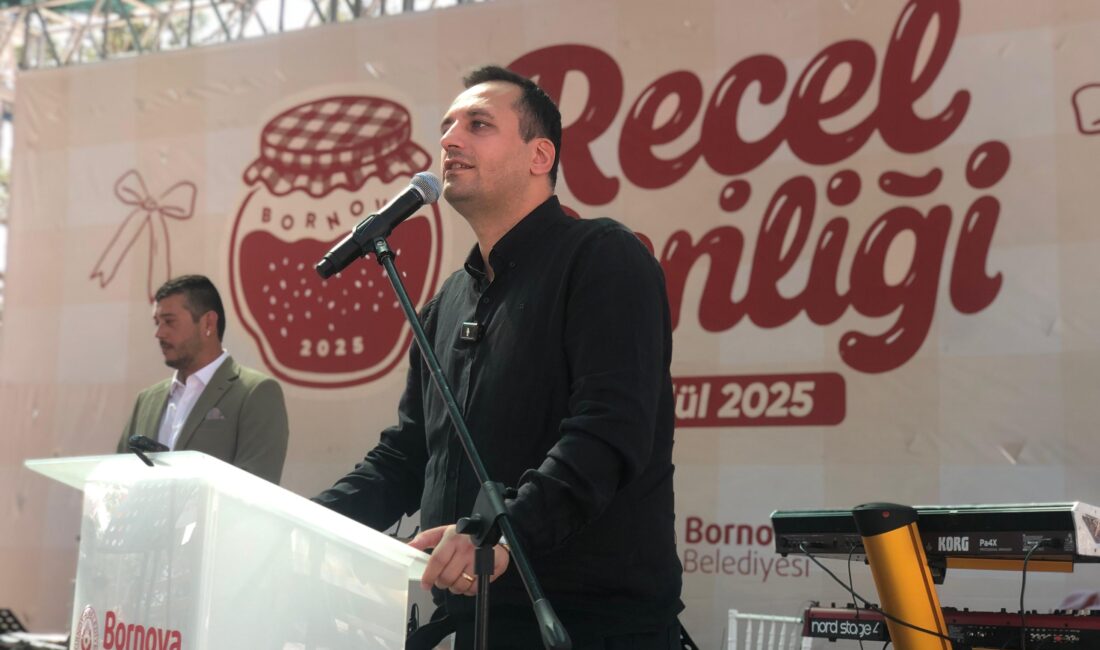 "Beton peşinde koşan milletvekillerine karşı zeytin ağaçlarının her yaprağını savunacağım"
