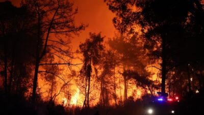 Antalya’nın Aksu ilçesinde ormanlık alanda yangın çıktı.


