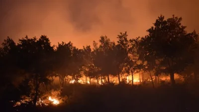 İzmir'in Bayındır ilçesinde Kireç Dağı mevkiinde başlayan yangın, koordineli çalışma