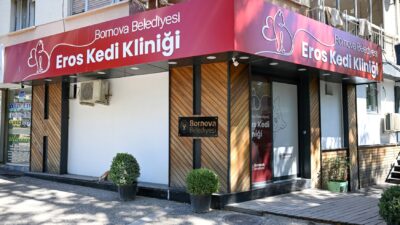 Bornova Belediyesi’nin hizmete açtığı Eros Kedi Kliniği, modern altyapısı ve