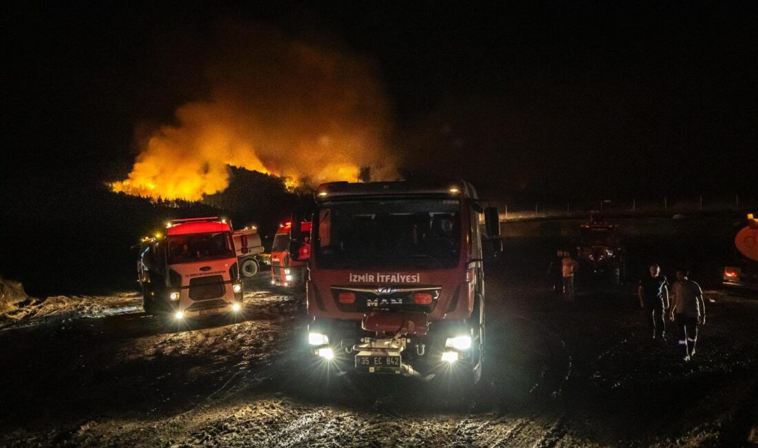 Bu yaz peş peşe çıkan orman yangınlarına karşı soluk soluğa