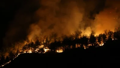 Tarım ve Orman Bakanı İbrahim Yumaklı, Kastamonu ve Karabük’te çıkan
