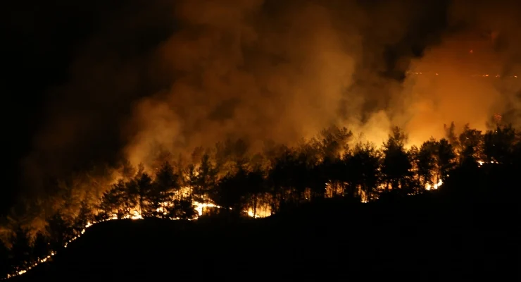 Tarım ve Orman Bakanı İbrahim Yumaklı, Kastamonu ve Karabük’te çıkan